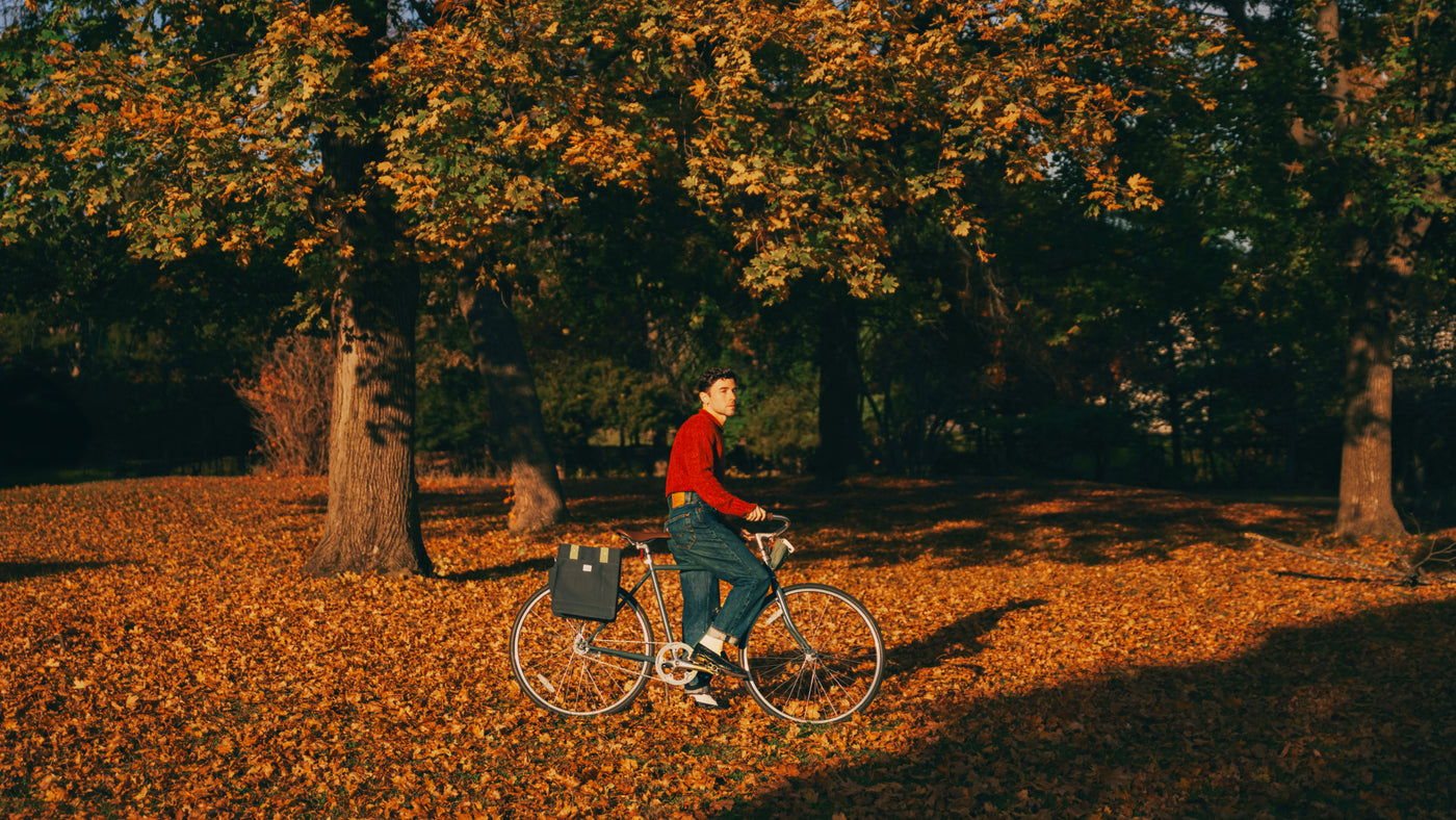 Person pausing with a Linus Roadster Classic bicycle in a quiet, tree-lined setting in Beacon, New York, surrounded by fall foliage.